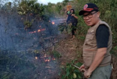 Kebakaran Hebat Landa Kebun Sawit di Empat Lawang