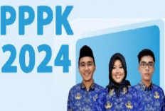 PPPK 2024 Segera Aktif! Cek Jadwal Kerja dan Gaji Terbarunya