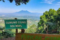 Menyelami Keindahan Gunung Ciung Sentul: Pesona Alam, Aktivitas Outdoor, dan Warisan Budaya Bogor