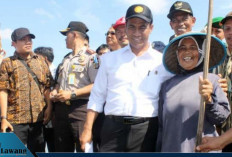 Mentan Amran Blak-blakan Ditegur Wapres karena Tutup Perusahaan Mafia Beras: Kami Dimarahi!