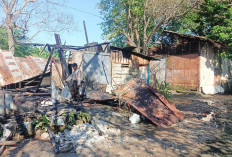 Kebakaran Dahsyat di Palembang Lahap Satu Rumah