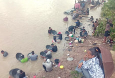 Demam emas kembali melanda Muara Rupit! Warga berbondong-bondong mendulang di Sungai Rupit, mencari peruntunga