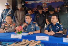 Lanal Bintan Tangkap Tujuh Terduga Pelaku Pencurian di Perairan Batam dan Bintan