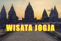 Ini Wisata Gratis di Jogja Ini Bikin Kamu Betah Pulang Telat! Penuh Spot Instagramable dan Udara Sejuk!