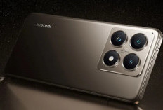 Xiaomi 16 Siap Meluncur Lebih Awal: Usung Snapdragon 8 Elite 2, Desain Ringkas, dan Baterai Jumbo 6800mAh