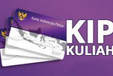 Breakingnews: KIP Kuliah 2025, Tanggal Pencairan, Jumlah Bantuan, dan Panduan Pengecekan