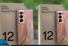 Harga HP Oppo Terbaru Mei 2025: Mulai Rp 1 Jutaan hingga Rp 15 Jutaan, Cek Semua Serinya!