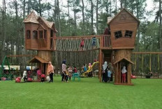 Melihat Pesona Wisata Kemit Forest Cilacap, Simak Ini Penjelasanya