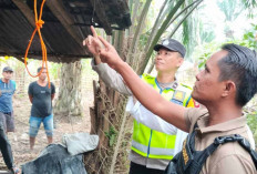 Dalam Sehari, Dua Kasus Gantung Diri di Musi Rawas