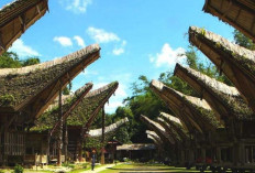 Menemukan Pesona Wisata yang Tersembunyi di Indonesia