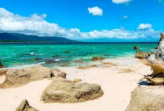 Wisata Alam Menakjubkan di Pandeglang: Surga Tersembunyi untuk Wisatawan Luar Banten
