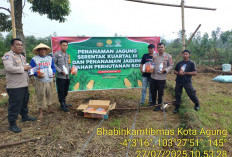 Polsek Kota Agung Laksanakan Penanaman Jagung Serentak
