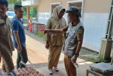 Ekspor Telur Ayam Sumsel Terkendala Syarat NKV