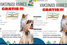Dinas Pertanian Siap Gelar Vaksinasi Rabies Gratis! Ada Souvenir Menarik untuk 10 Pendaftar Pertama!