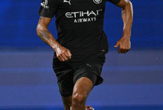 Reijnders Bawa Kemenangan Man City 3-0