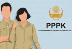 Pemprov Sumsel Bahas Skema Pensiun PPPK Bersama Taspen