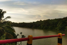 Banyak yang Nggak Tau, Ini 3 Sungai Terpanjang di Bengkulu yang menarik