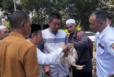 Pastikan Daging Halal dari Proses Pemotongan