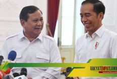 Daftar Menteri Jokowi yang Kembali Dipanggil Prabowo dan 6 Calon Menteri Perempuan Pilihan Prabowo