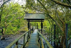 4 Rekomendasi Wisata Budaya di Balikpapan yang Patut Dikunjungi