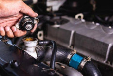 5 Tips Agar Radiator Mobil Tahan Lama dan Mesin Tetap Optimal