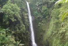 Mitos Jodoh di Curug Cantel! Air Terjun Eksotis di Tegal Ini Wajib Dikunjungi