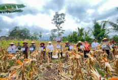 Dukung Ketahanan Pangan Nasional