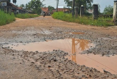 Kampung Tertua di Sungai Lilin Jalannya Butuh Perhatian