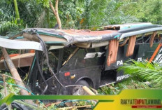 Kecelakaan Bus Rombongan Study Tour di Tanjakan Sedayu, Tanggamus, Lampung, Enam Orang Luka Berat