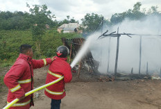 Rumah Pemulung di Dekat Hangus Terbakar