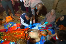 Polisi Bekuk Remaja Pelaku Penganiayaan Maut di Kebun Kopi OKU Selatan