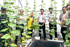 Tinjau Budidaya Melon, Anggur dan Ikan Lele