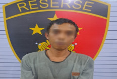 DPO Kekerasan dan Pemerkosaan Ditangkap di Gunung Besurai Jambi