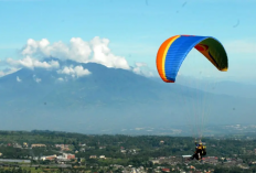 Sensasi Terbang di Atas Puncak: Harga Tiket dan Tips Paralayang di Puncak Bogor