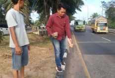 Supir Truk Dibacok di Kawasan Kertapati, Polisi Buru Pelaku