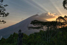 Lupakan Bali! Desa Wisata Manubhara di NTT Tawarkan Surga Tersembunyi yang Bikin Kamu Ogah Pulang