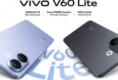 Vivo V60 Lite 4G Resmi Hadir, Andalkan Kamera Ultra-wide dan Layar 10-bit