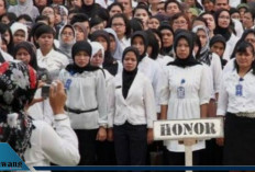 Tunjangan Profesi Guru Non PNS Naik Jadi Rp2 Juta, Pemerintah Tegaskan Prioritas Kesejahteraan Pendidik