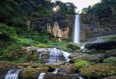 Pesona Alam Purworejo: 5 Destinasi Wisata yang Menyegarkan dan Cocok untuk Liburan Keluarga