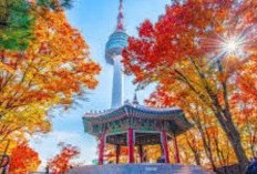 Namsan Seoul Tower: Ikon Wisata dan Simbol Kota Seoul