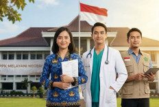 Wacana Gaji PPPK Ditarik ke APBN, Komisi XI Soroti Beban Berat APBD Daerah