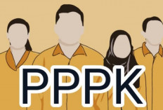 BKN Resmi Buka Skema PPPK Paruh Waktu untuk Honorer: 7 Formasi Tersedia