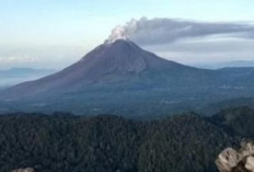 Mahasiswa USU T3w4s Jatuh ke Jurang saat Mendaki Gunung Sibayak