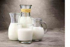 Susu Skim Vs Susu Murni, Mana yang Lebih Menyehatkan Tubuh?