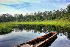 6 Wisata Terbaru di Bengkalis yang Wajib Dikunjungi