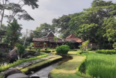 Nikmati Suasana Desa dan Kuliner Khas Jogja di Warung Watoe Gadjah