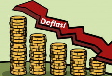 Februari, Deflasi 0,41 Persen