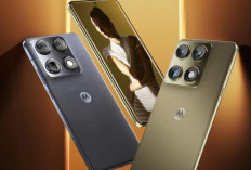 Motorola Signature Resmi Hadir di Indonesia, Usung Kamera Sony dan Desain Premium