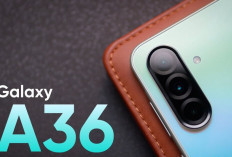 Samsung Galaxy A36 5G: Tahan Air, Update 6 Tahun, dan Performa Stabil di Kelas Menengah