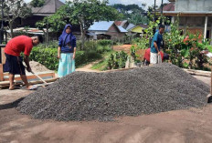 Harga Turun, Petani Tunda Menjual Kopi